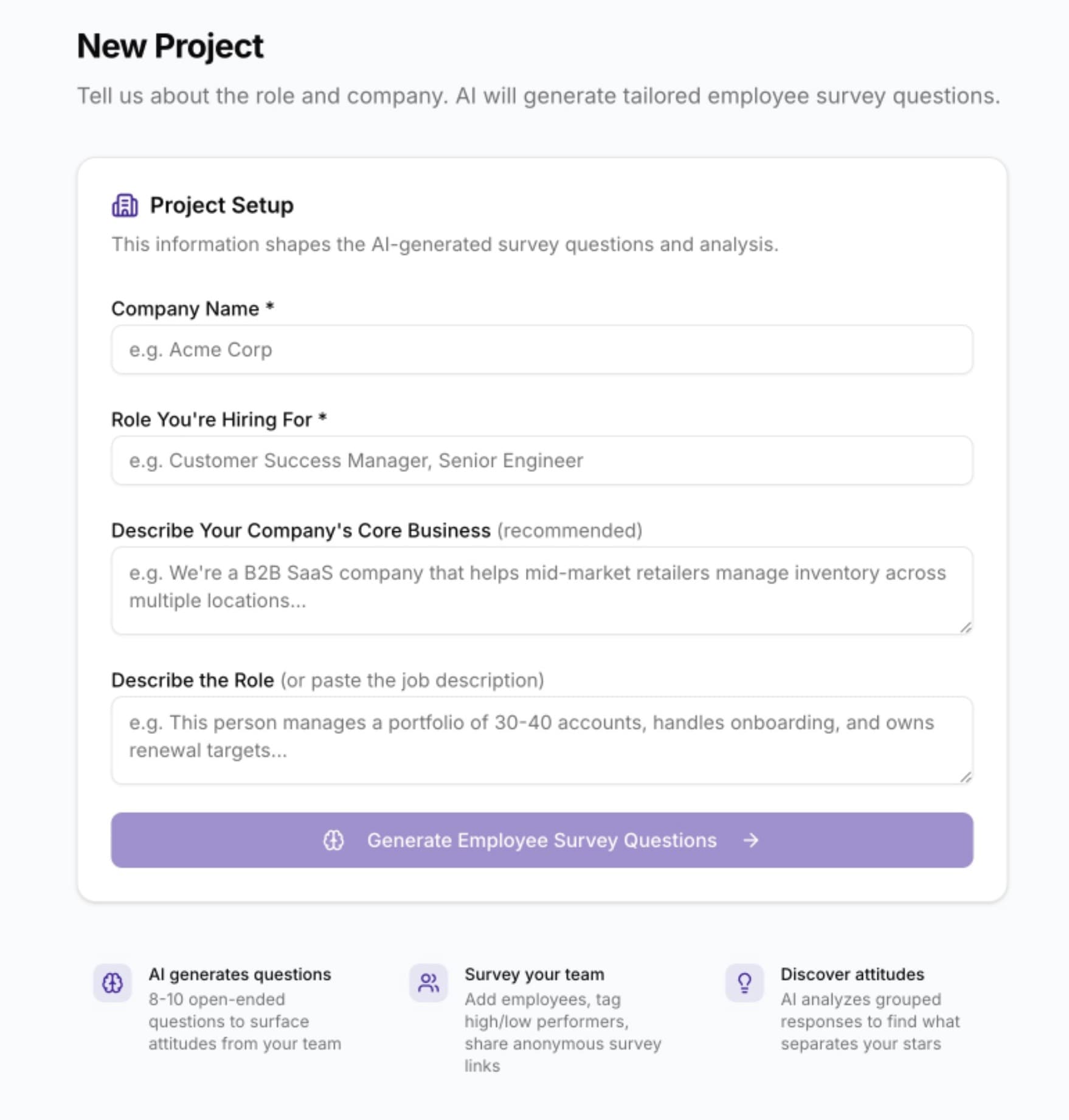 New project setup form where you describe your company and the role